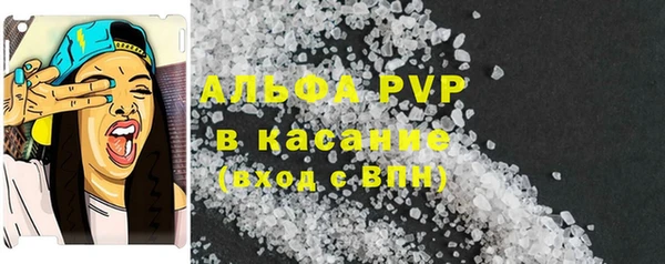 амф Заволжье