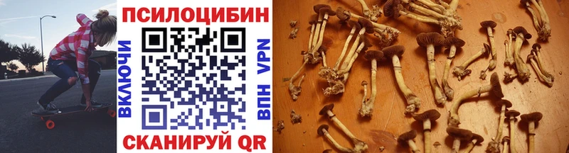 купить закладку Старица Галлюциногенные грибы MAGIC MUSHROOMS