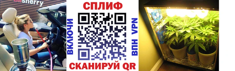 Конопля конопля  Старица 